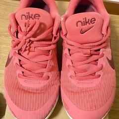 Nike24.5