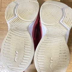 Nike24.5の画像