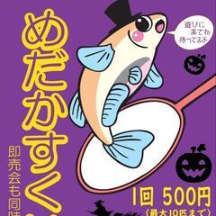 2024.10.13めだかすくい