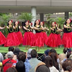 アカハイフラスタジオ　Akahai Hula Studioの画像