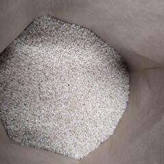あきたこまち　令和6年　新米　10kg 玄米