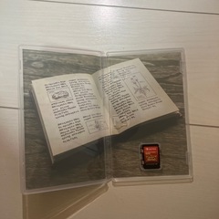 ポケットモンスター スカーレット パッケージ版
の画像