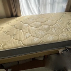 無料で差し上げますの画像