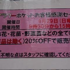 🈹9/29（日）🈹