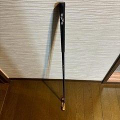 パターの画像