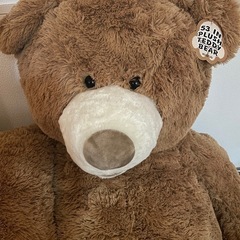 コストコ　特大クマのぬいぐるみ　
