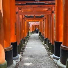 伏見稲荷、散歩友達募集。