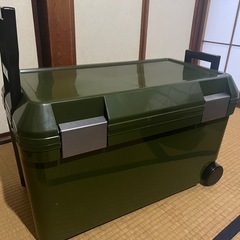 🧃大型クーラーボックス46リットル🧃