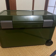 🧃大型クーラーボックス46リットル🧃の画像