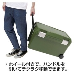 🧃大型クーラーボックス46リットル🧃の画像