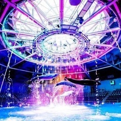 水族館🦭