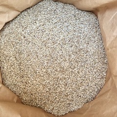 訳あり令和7年 新米 コシヒカリ 10キロ 精米の画像