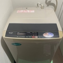 家電 生活家電 洗濯機