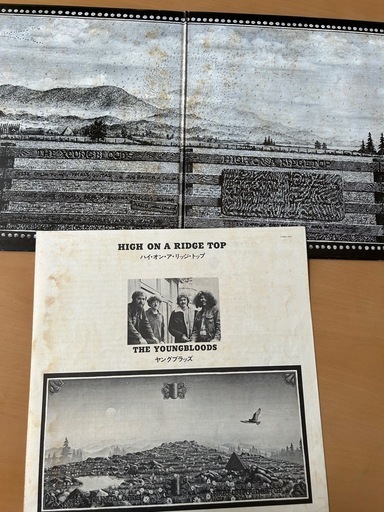 The YOUNGBLOODS - HIGH ON A RIDGE TOP レコード　LP