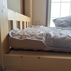 二段ベッド 階段 2段ベッド 階段 左右対応 大人 子供 シングル 木製 パイン 天然木の画像