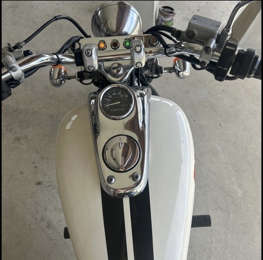 マグナ 50超人気！