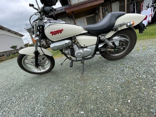 マグナ 50超人気！