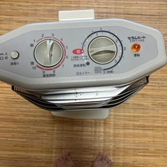 セラムヒートの画像