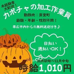 【日払い・週払い可】短期でカボチャの加工作業員募集中！！ 未経験...