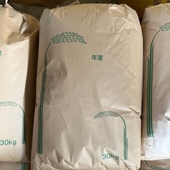 令和6年産コシヒカリ　くず米　30キロ 京都丹波産コシヒカリ 令和6年 玄米30Kg