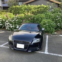 TT(駐車場がないため、値下げ)
