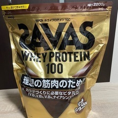 プロテイン（リッチショコラ）