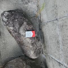 庭石助けます