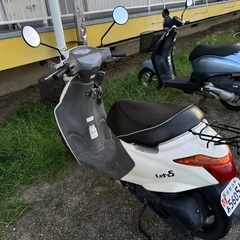 実動　
スズキ　Let's5 Fi 　の画像