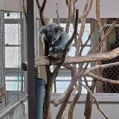 房総まったりオフロードバイク　初心者、平日走れる方歓迎