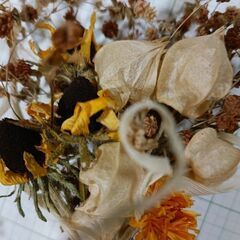 スワッグ　ドライフラワー 　ホオズキほかの画像
