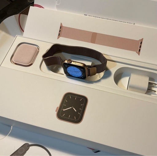 コレクション 希少な スティグリンドベリ ブラックのテリア貯金箱