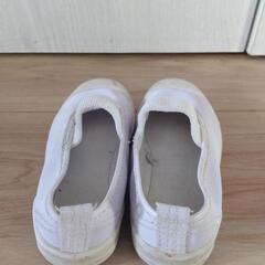 上履き 16cmの画像