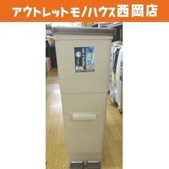 2段分別ダストボックス カラーツインペダル46 幅38.5㎝ ゴ...