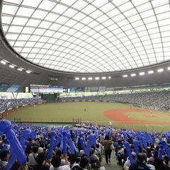 野球観戦好きな人募集