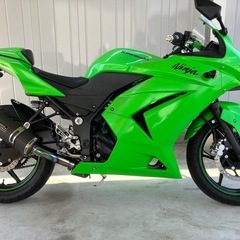 カワサキ　ニンジャ　
Ninja250R  の画像