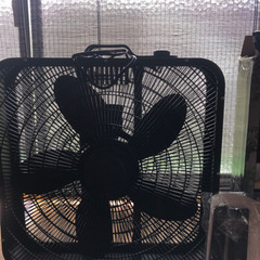 【ほぼ新品｜日本製】日本に珍しい ビッグBOXファン (55x52cm)の画像