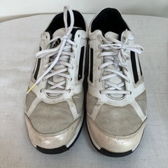 adidas アディダス ゴルフシューズ 2足セット シューズ 靴 セット売り ゴルフ ゴルフ用品 スパイクの画像