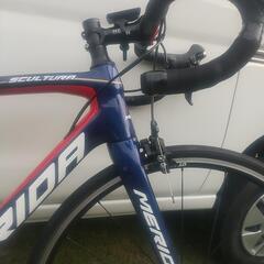 バーレーンMERIDAスクルトゥーラ4000の画像