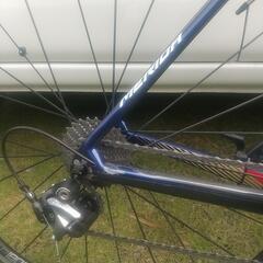 バーレーンMERIDAスクルトゥーラ4000の画像