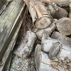 木材 薪 の画像