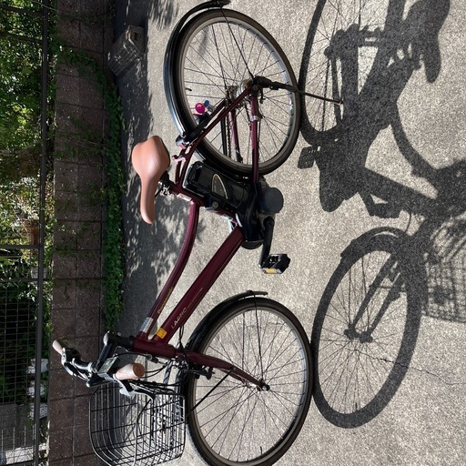 電動アシスト自転車