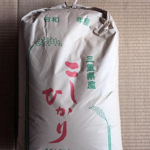 令和6年度9月収穫新米コシヒカリ玄米30kg