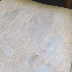 売り尽くし最終価格！ラスト2脚！calf fur  dining chair　の画像