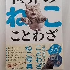 世界の猫ことわざ