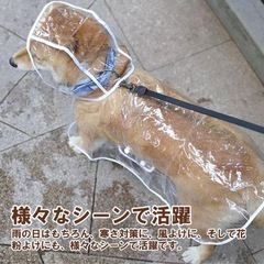 犬用　レインコート　XXXLの画像