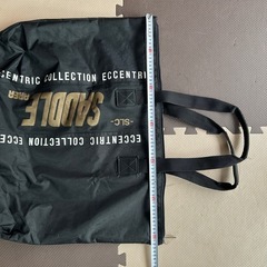 大きめのバックの画像