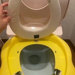 トイレトレーニング　ペンギン　はしご　の画像