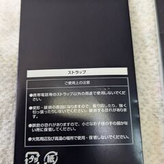 ☆ドリームスカムトゥルー　2009　コンサート　ツアーグッズ　ストラップ　未使用品　の画像
