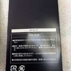 ☆ドリームスカムトゥルー　2009　コンサート　ツアーグッズ　ストラップ　未使用品　の画像
