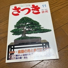 雑誌